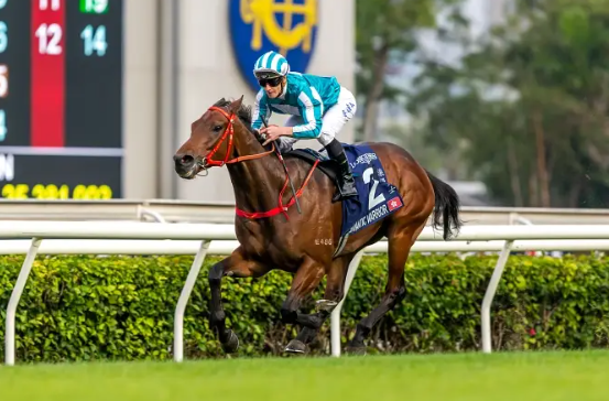 香港カップ2023 予想